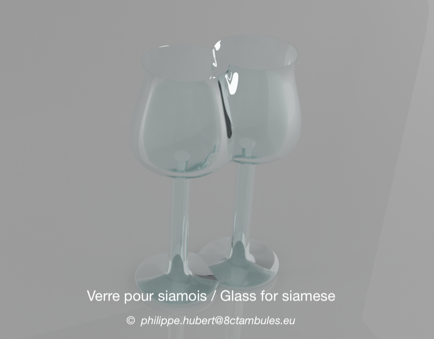 verre pour siamois